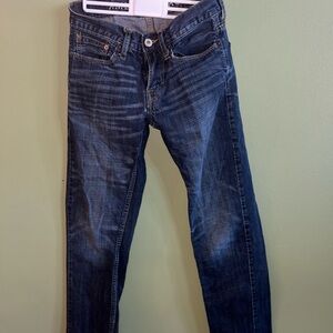 American Eagle Outfitters Blue Slim Jeans Classic Style
